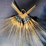 קליעה בשיבולים ברכת קציר