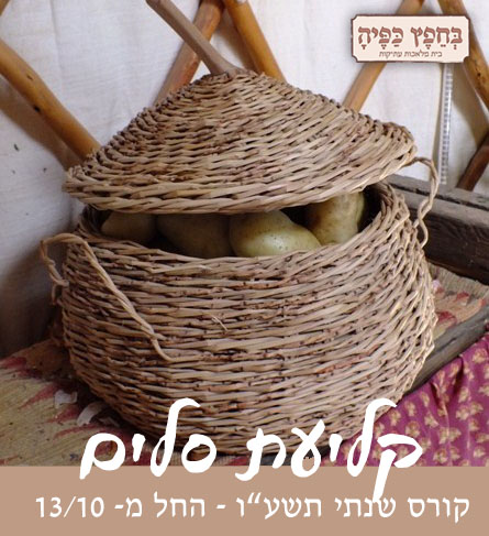 קליעת סלים שנתי 13